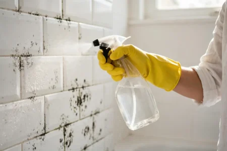 White vinegar spray bottle next to mold on bathroom tile