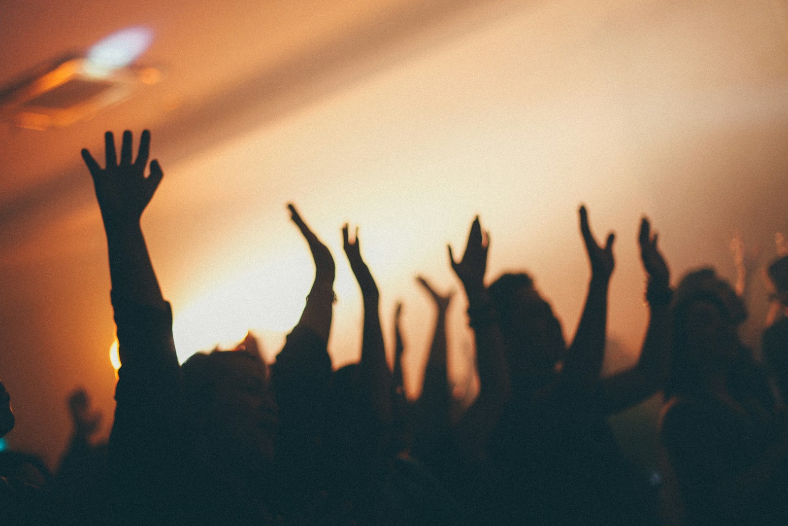 Concert crowd with arms raised singing Charity Gayle I Speak Jesus worship anthem